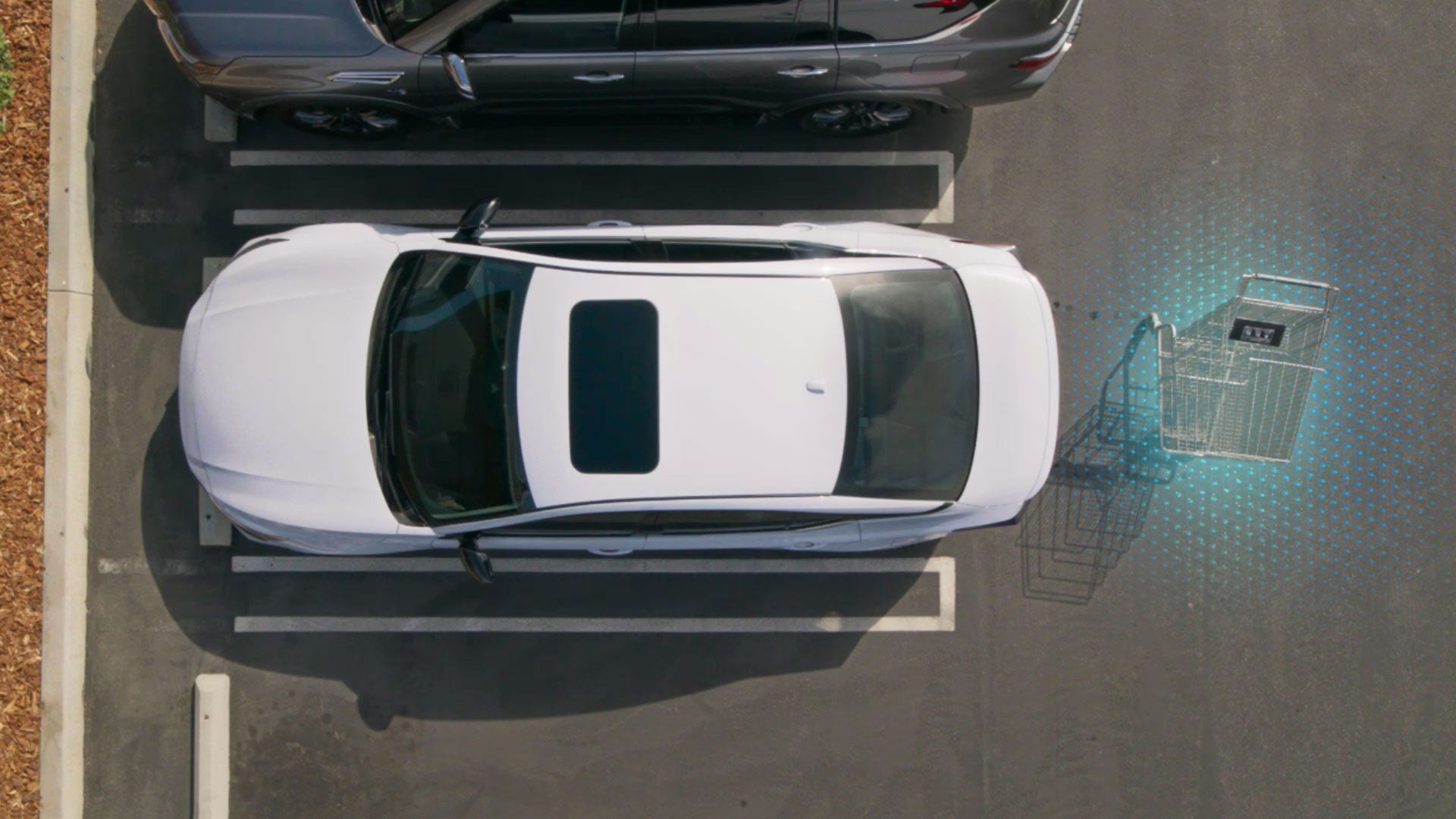 2026 Nissan Altima | LOUGHEAD NISSAN in Swarthmore, PA